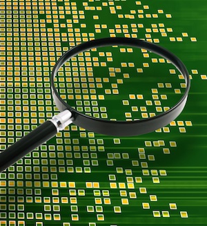 Digital Clues for Marketing