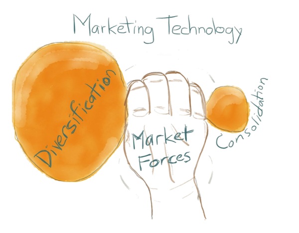Marketing Diversification and Marketing Consolidation